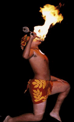 CJN Parties 